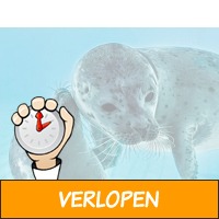 Hoor wat zeehonden vertellen bij Zeehondencentrum Piete..