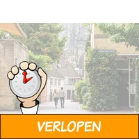 3 dagen 4*-Van der Valk bij Den Bosch