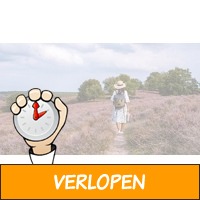 Kom tot rust op de Veluwe