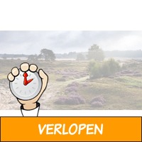 2 of 3 dagen 4*-hotel op de Veluwe