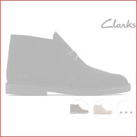 Clarks Desert Boot 2