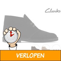 Clarks Desert Boot 2