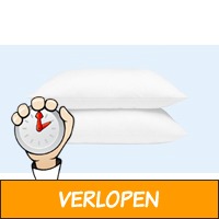 Set van 2 veren hoofdkussens