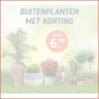 Buitenplanten