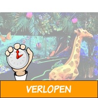 Speel Glow in the Dark Midgetgolf bij Coronel