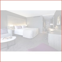 FLASHDEAL! 2 of 3 dagen in luxe 4*-Van d..