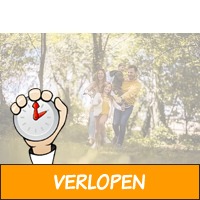 Veiling: Hemelvaart of Pinksteren in een Oostappenpark ..