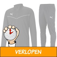 Puma Teamrise trainingspak heren