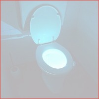 LED Toilet Light