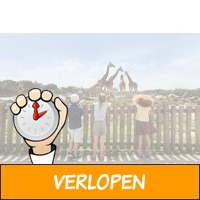 Verblijf op Vakantiepark Beekse Bergen