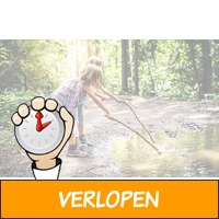 Roompot in het bos