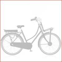 Retro E-Bike met Voordrager