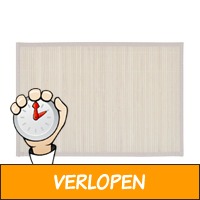 6 x vidaXL bamboe placemats