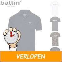 Tops van Ballin Est 2013