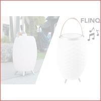 Speaker lamp van FlinQ