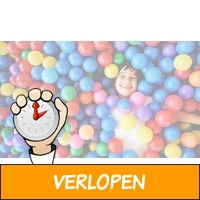 Kinderticket voor Ballorig