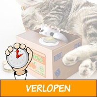 Kitty Bank spaarpot