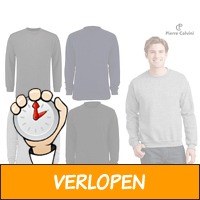 Pierre Calvini Heren Sweaters - Kies Uit Maat S t/m XXL..