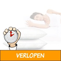 Bon Giorno Hoofdkussens - Vandaag 1+1 Gratis! ...