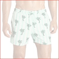 Bjorn Borg Sylvester zwemshort heren