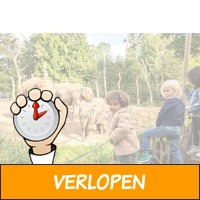 Veiling: Ontdek DierenPark Amersfoort (2 p.)