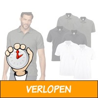 2 x Pierre Calvini polo shirt heren