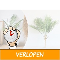 Kunstplant palm kopen? Bestel kunsttakken online