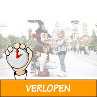 Efteling ticket voor een doordeweekse dag