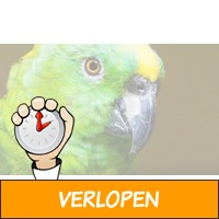 Entree voor Papegaaienpark - ZOO Veldhoven