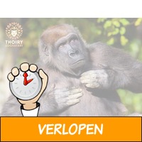 Spot dieren vanuit je eigen auto in Thoiry Zoo Safaripa..