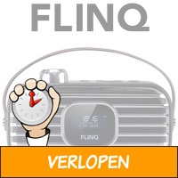 Flinq DAB+ radio met wekkerfunctie