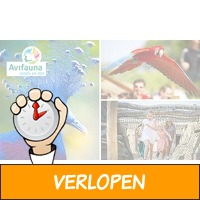 Entree Avifauna + XXL-speeltuin