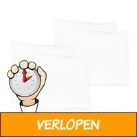 Orthopedisch Anti-Stress Kussens | 2+2 Gratis | volledi..