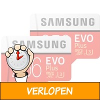 2 x Samsung EVO Plus microSD 256 GB