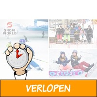 Skien of snowboarden (4 uur) bij SnowWorld