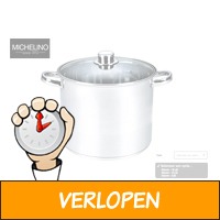 Michelino RVS soeppan 21 liter