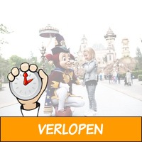 Veiling: Efteling-tickets voor op een doordeweekse dag ..