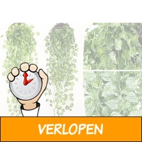 Nep hangplanten