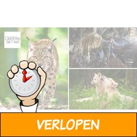 Entree tot Grotten van Han, Wildpark en meer