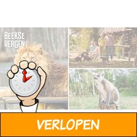 Entree Safaripark Beekse Bergen