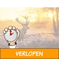 3 dagen op de Veluwe