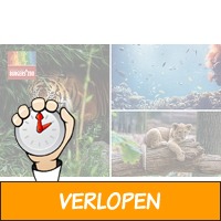 Entree voor Burgers' Zoo