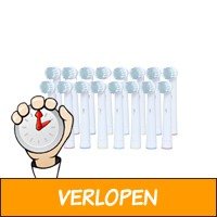 16 opzetborsteltjes