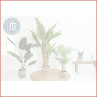 Nep kamerplanten van Lifa Living