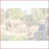 Veiling: Ontdek DierenPark Amersfoort (2..