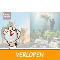 Dagentree voor WILDLANDS Adventure Zoo Emmen