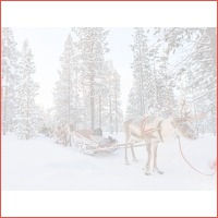 8 dagen naar Fins Lapland