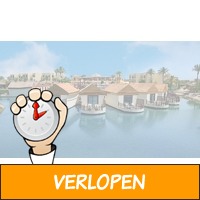 Egypte: 8 dagen All Inclusive