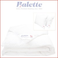 Balette ganzendonzen 4-seizoenendekbed