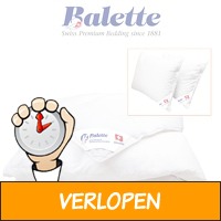 Balette ganzendonzen 4-seizoenendekbed